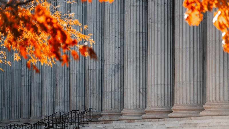 Autumn leaves and courthouse pillars